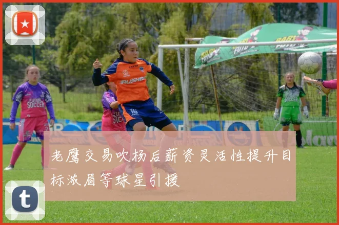老鹰交易吹杨后薪资灵活性提升目标浓眉等球星引援